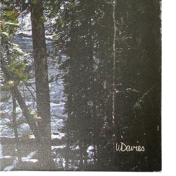 🍒Free Gift with 3+ items purchased🍒. Original Artist Photography on Canvas - Picture 2 of 9